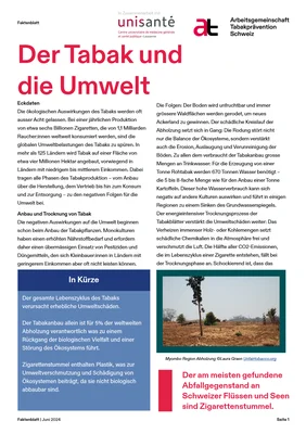 2-pager Umwetl de