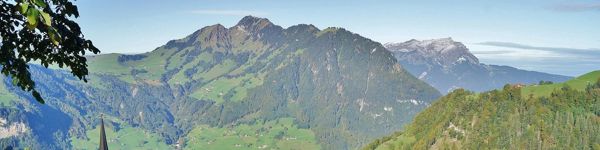 2048px-Niederrickenbach_cut