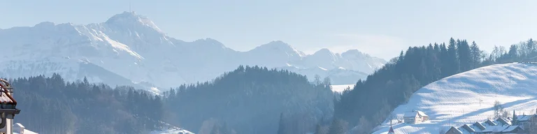 Blick_von_Herisau_AR_zum_Säntis_(2019)_cut