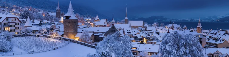 CH.ZG.Zug_View_from_Guggi_01_16x9+R_8192x4608_Br058_gp_denoising_Br075_cut