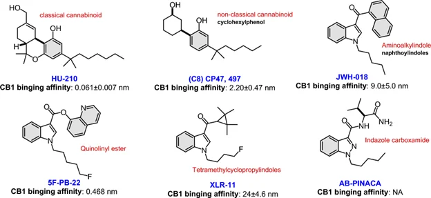 Image2 Synthetic cannabinoids