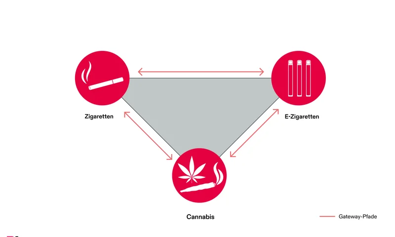 cannabis news_de